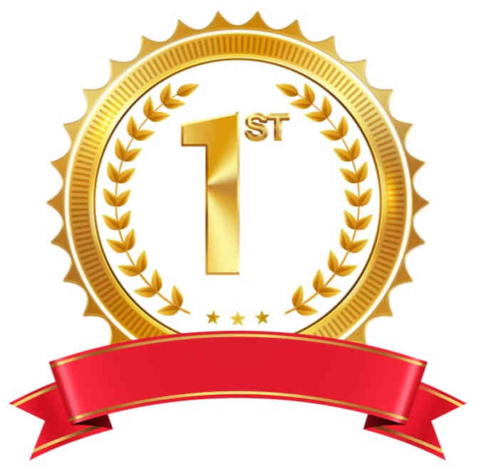 Poster sunumu birincilik ödülü görseli