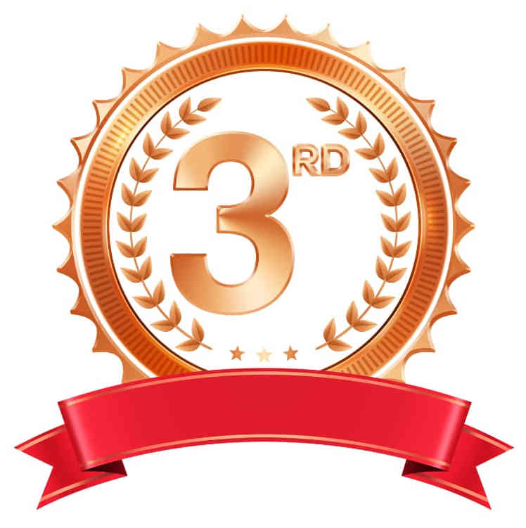 Poster sunumu üçüncülük ödülü görseli